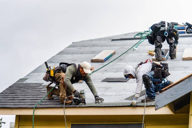 Professional Roofing technician working in Berthoud, CO
